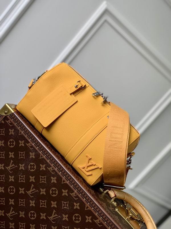 LV Handbags 310